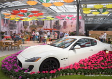 Who parks his car like this?